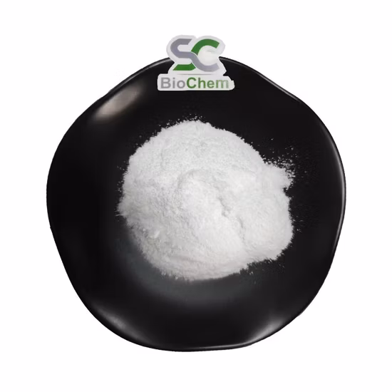 Huperzia Serrata 抽出粉砕機の製造