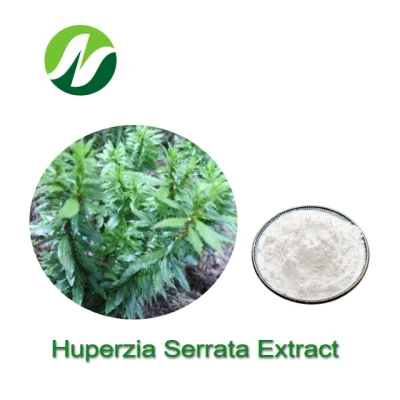 1% ～ 99% の高水準の Huperidina および Huperitia serrata 抽出物